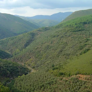 Estudio de la infraestructura viaria del Espacio Natural de Quilamas, Salamanca