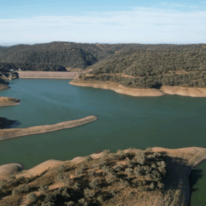 Prospección de Avifauna y Fauna Acuática en la Presa de Huesna (Sevilla)